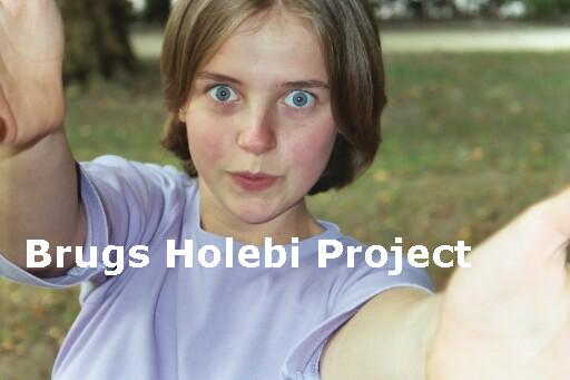 Brugs Holebi Project...