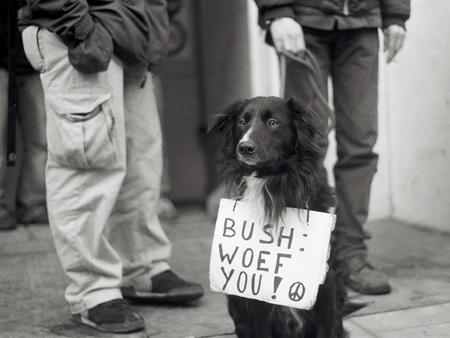 Bush: woef you!...